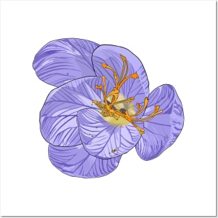 Fall Crocus Posters and Art